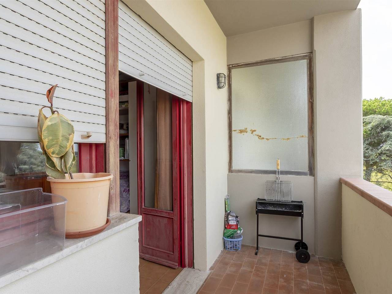 immagine annuncio 4 di 12