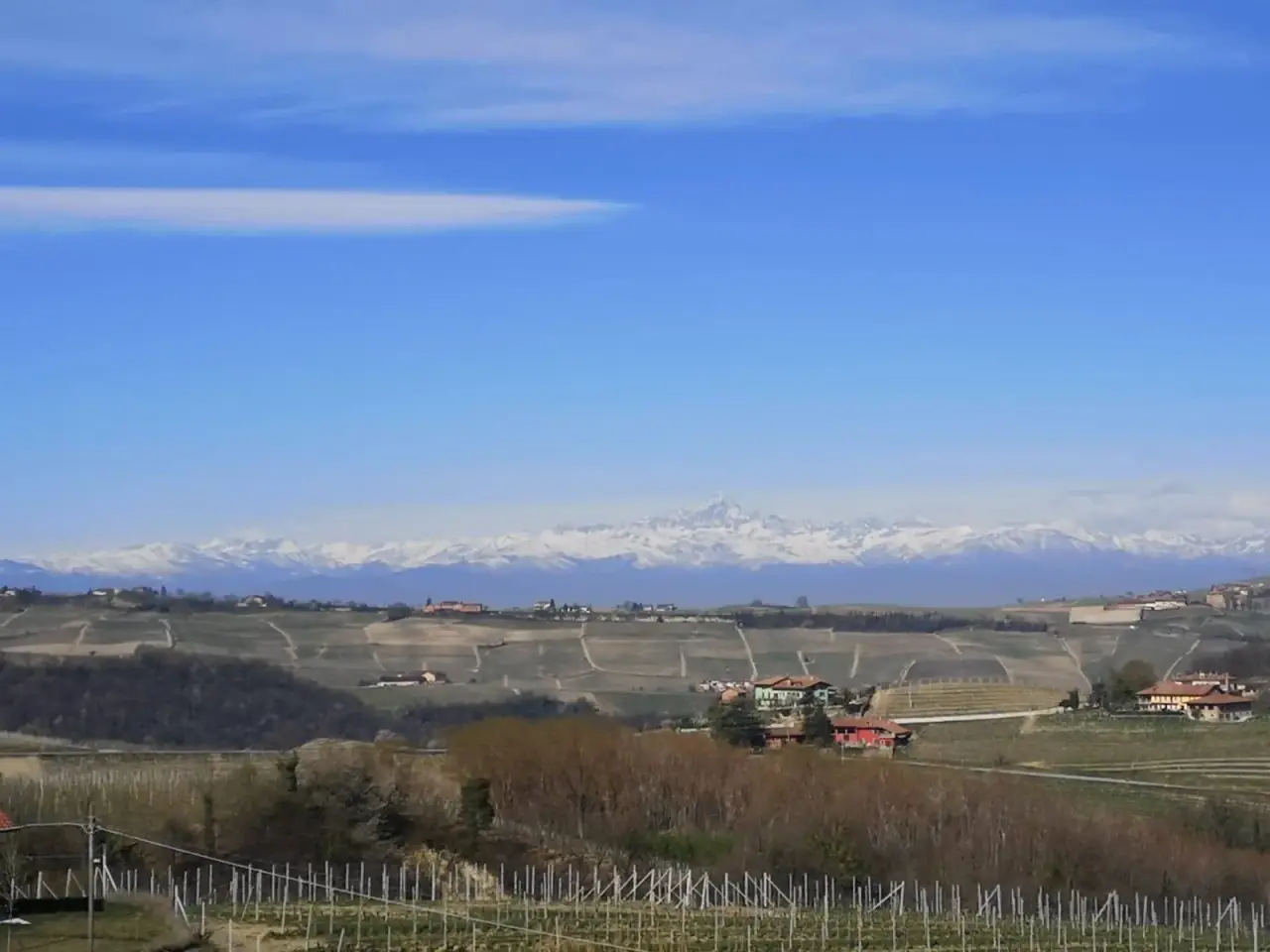 Azienda agricola in , Castiglione Falletto, {3} - Foto 1