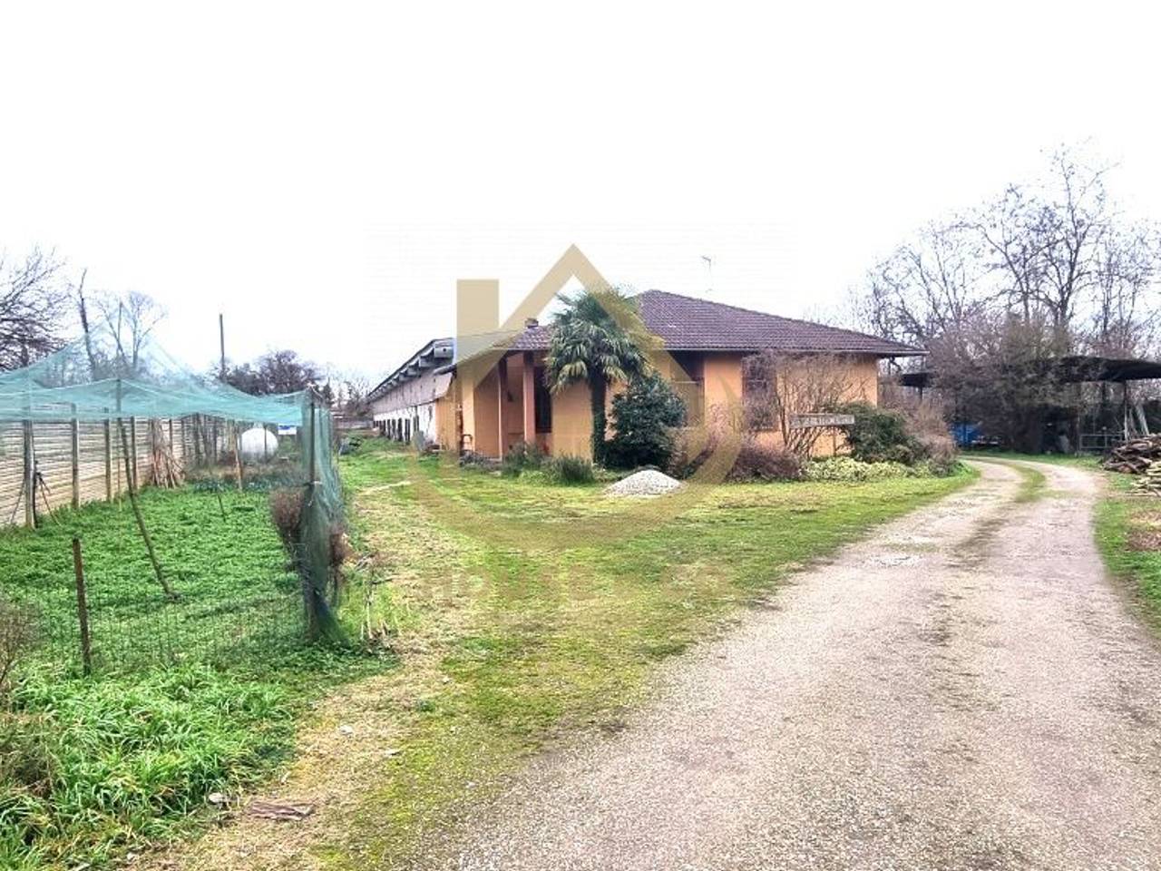 immagine annuncio 3 di 11