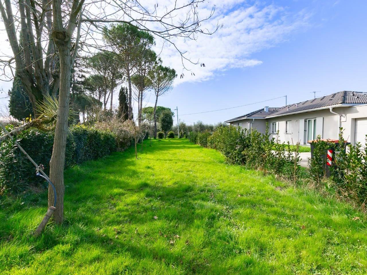 immagine annuncio 1 di 6