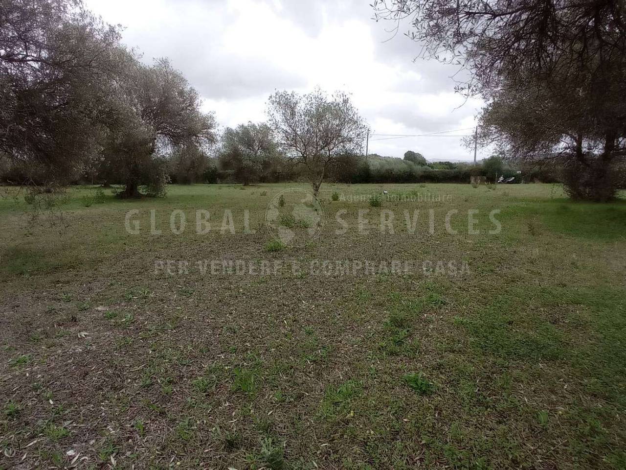 immagine annuncio 7 di 14