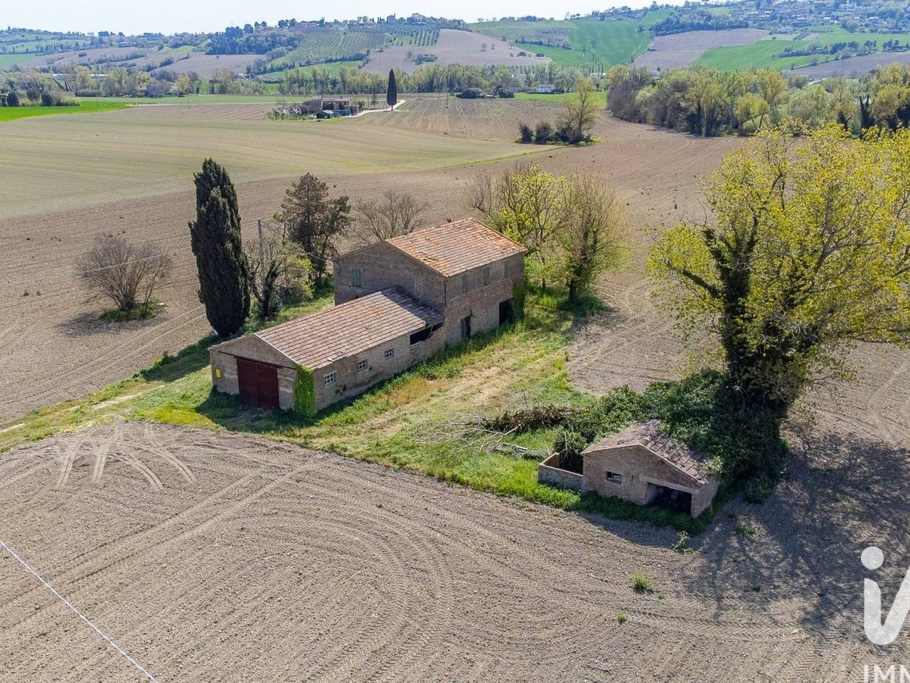 immagine annuncio 7 di 14