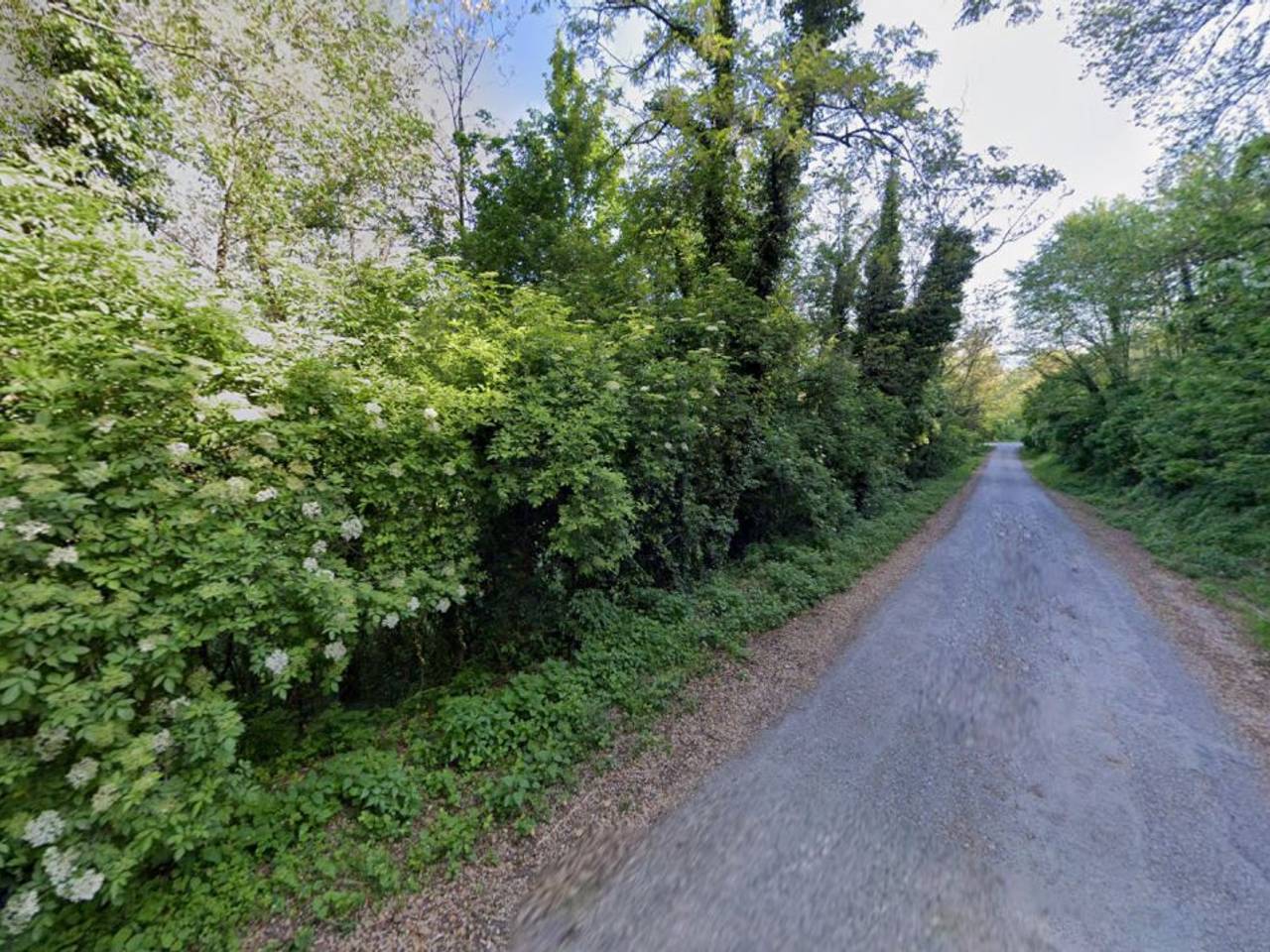 immagine annuncio 10 di 13