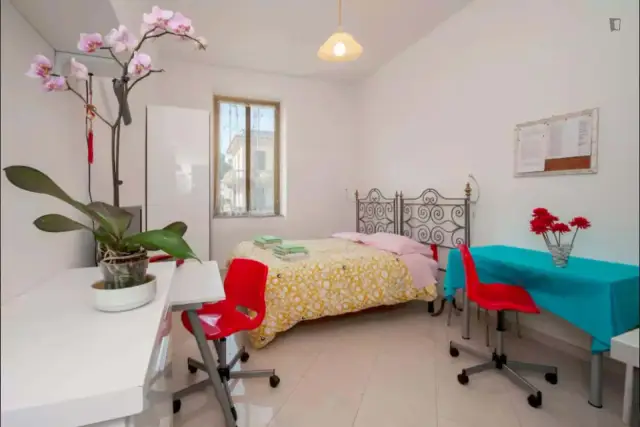 insertion image