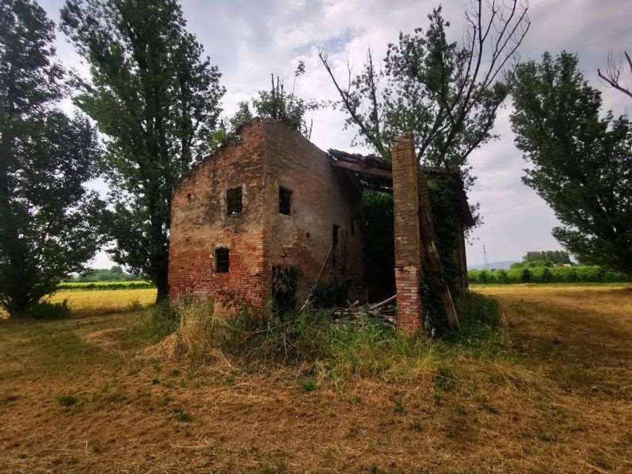 immagine annuncio 3 di 13