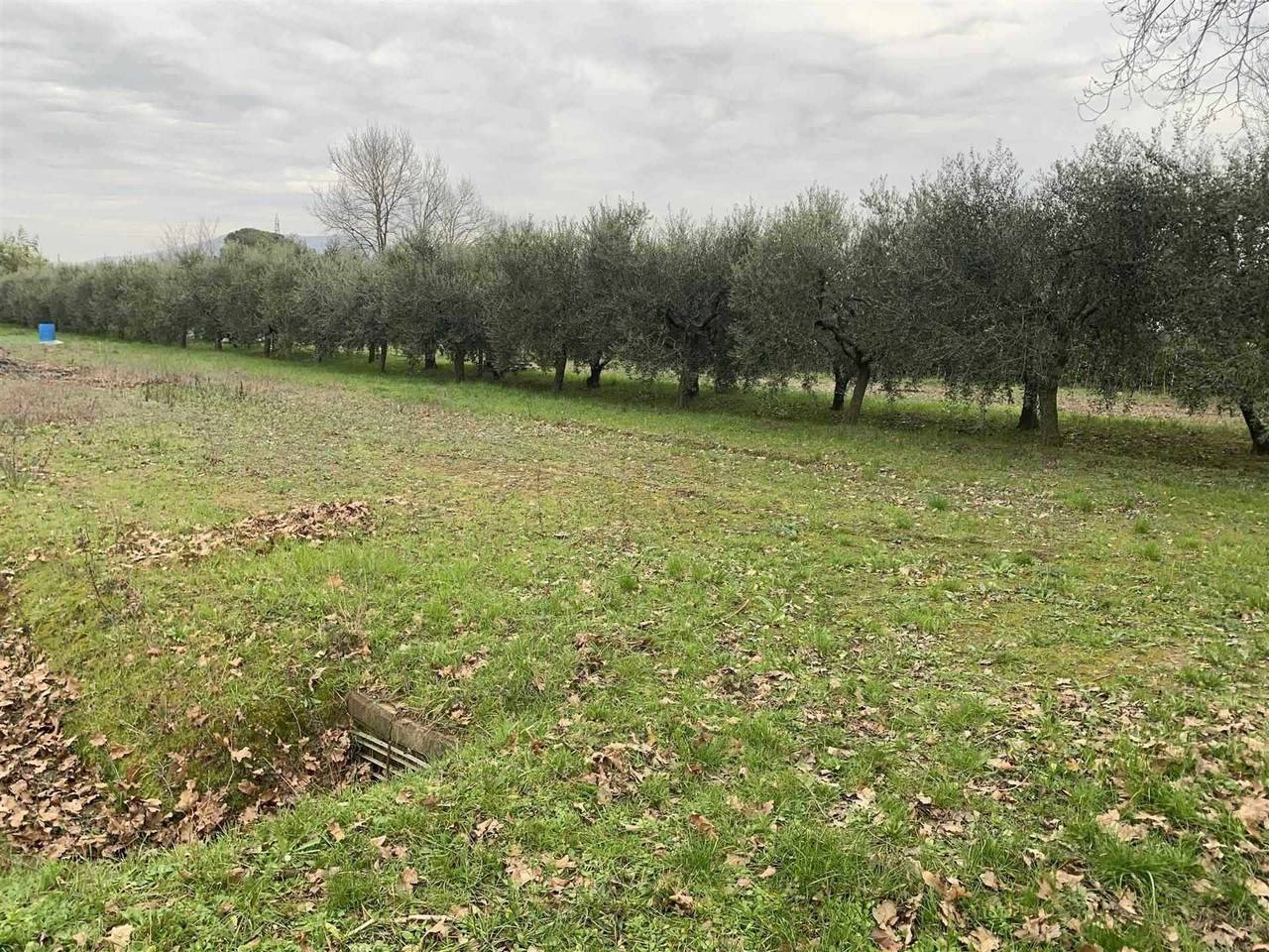 immagine annuncio 2 di 8