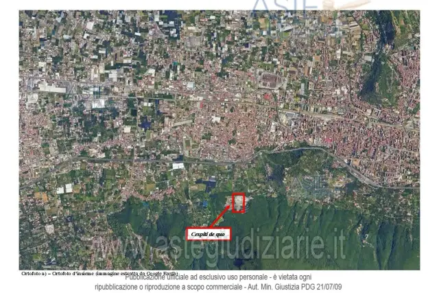 insertion image