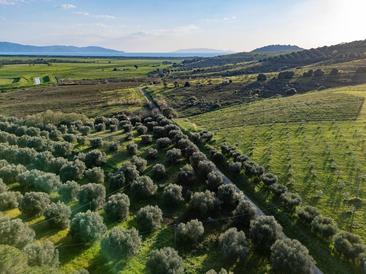 immagine annuncio 3 di 13