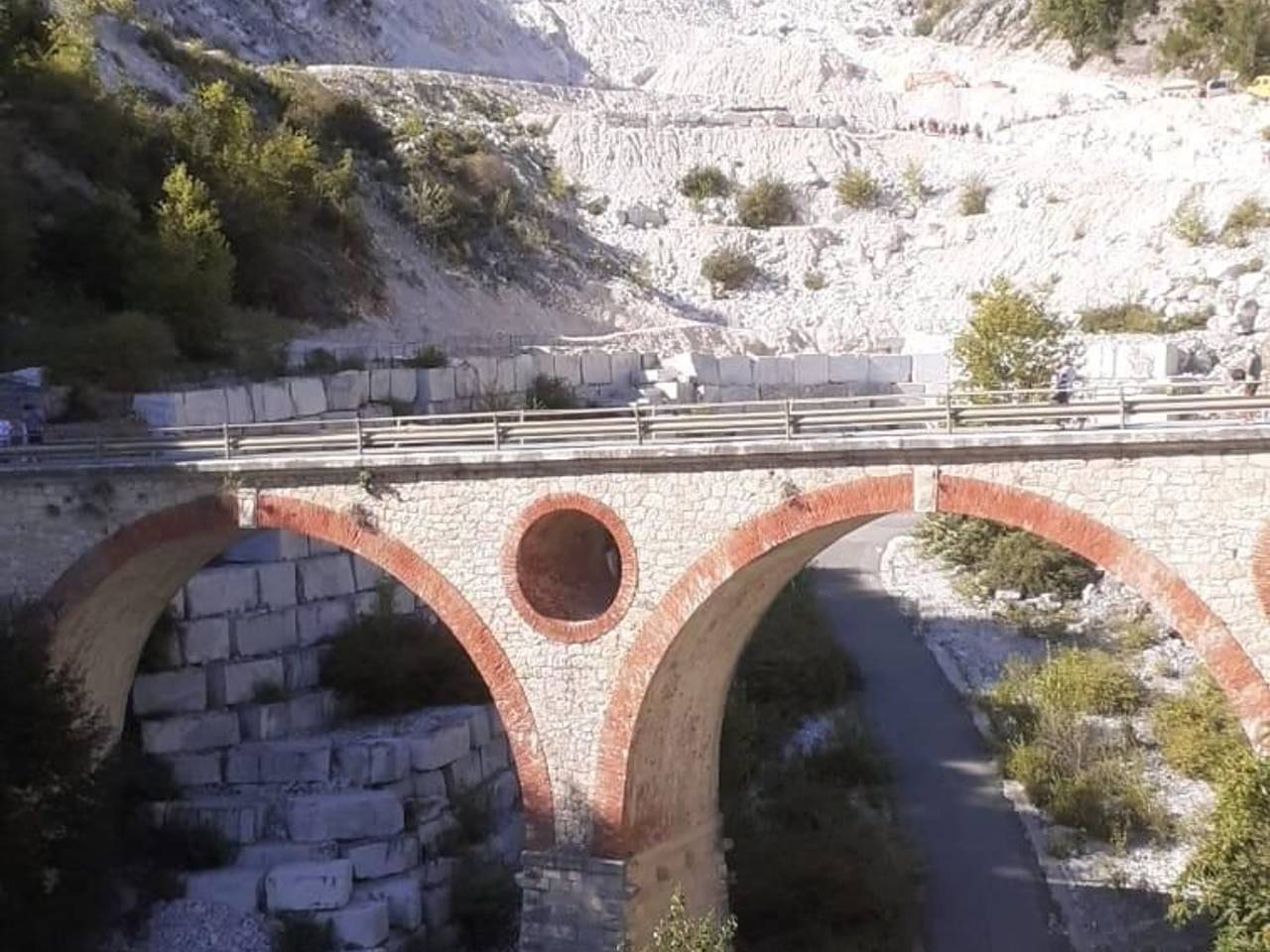 immagine annuncio 12 di 14