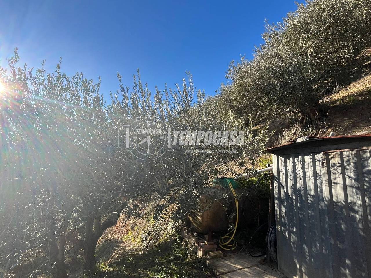 immagine annuncio 6 di 13