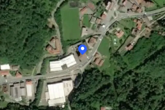 insertion image