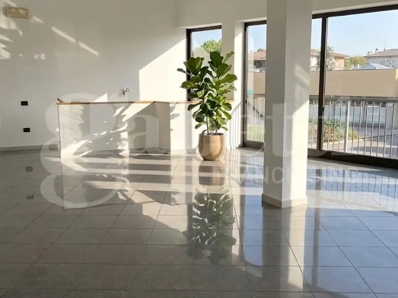 Negozio in Rovigo - Viale della Pace , Rovigo, {3} - Foto 1