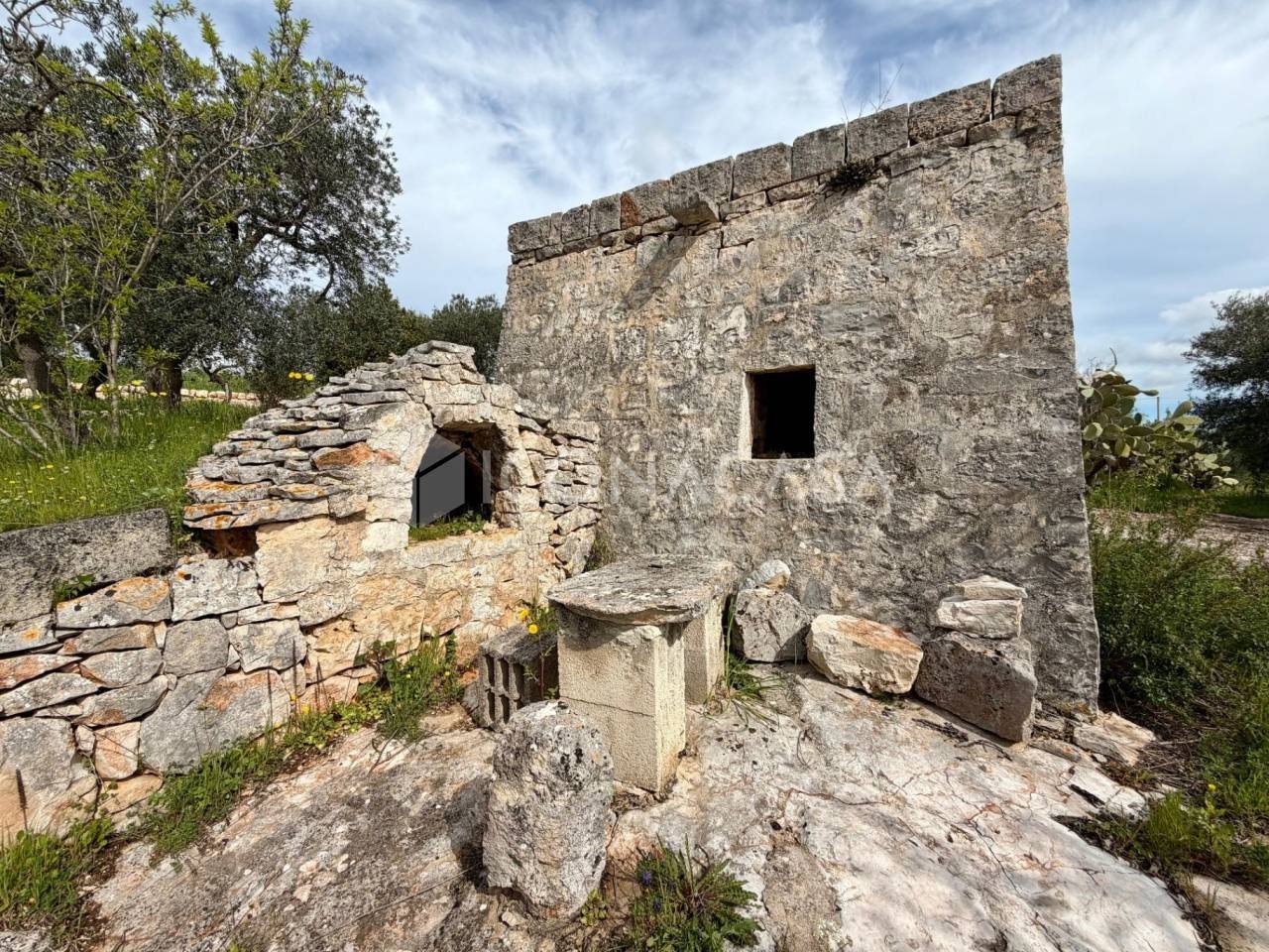 immagine annuncio 2 di 11