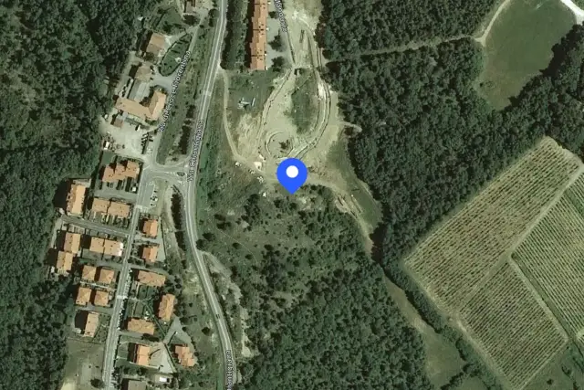 insertion image