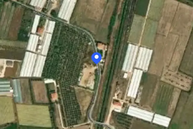 insertion image