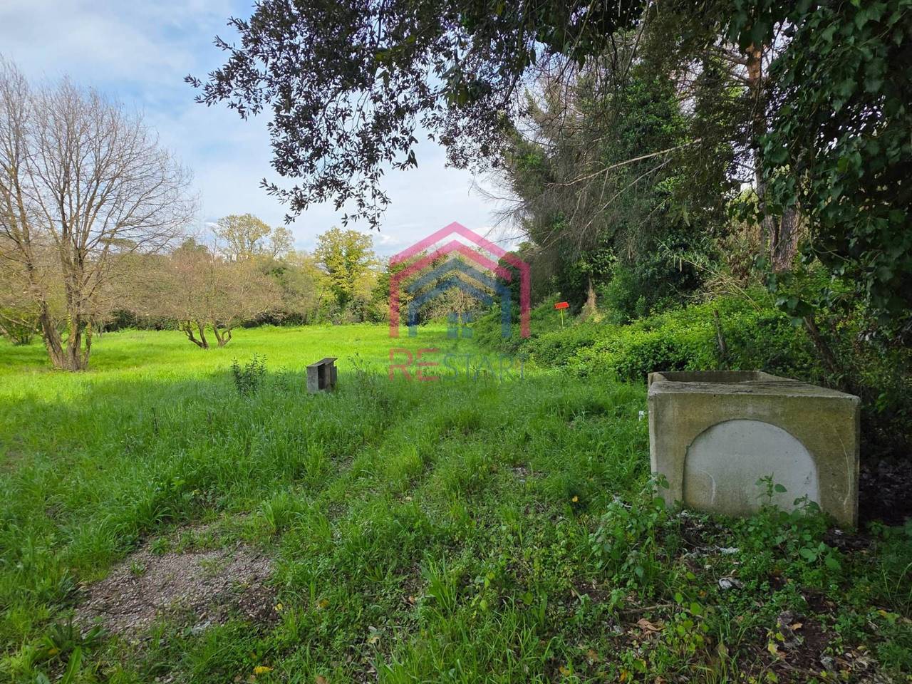 immagine annuncio 7 di 8