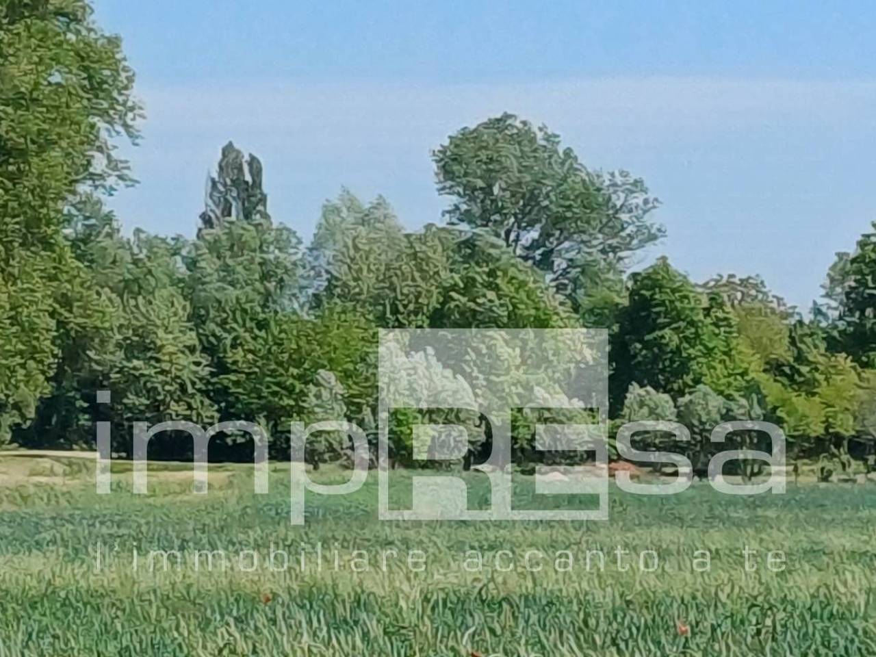 immagine annuncio 6 di 9