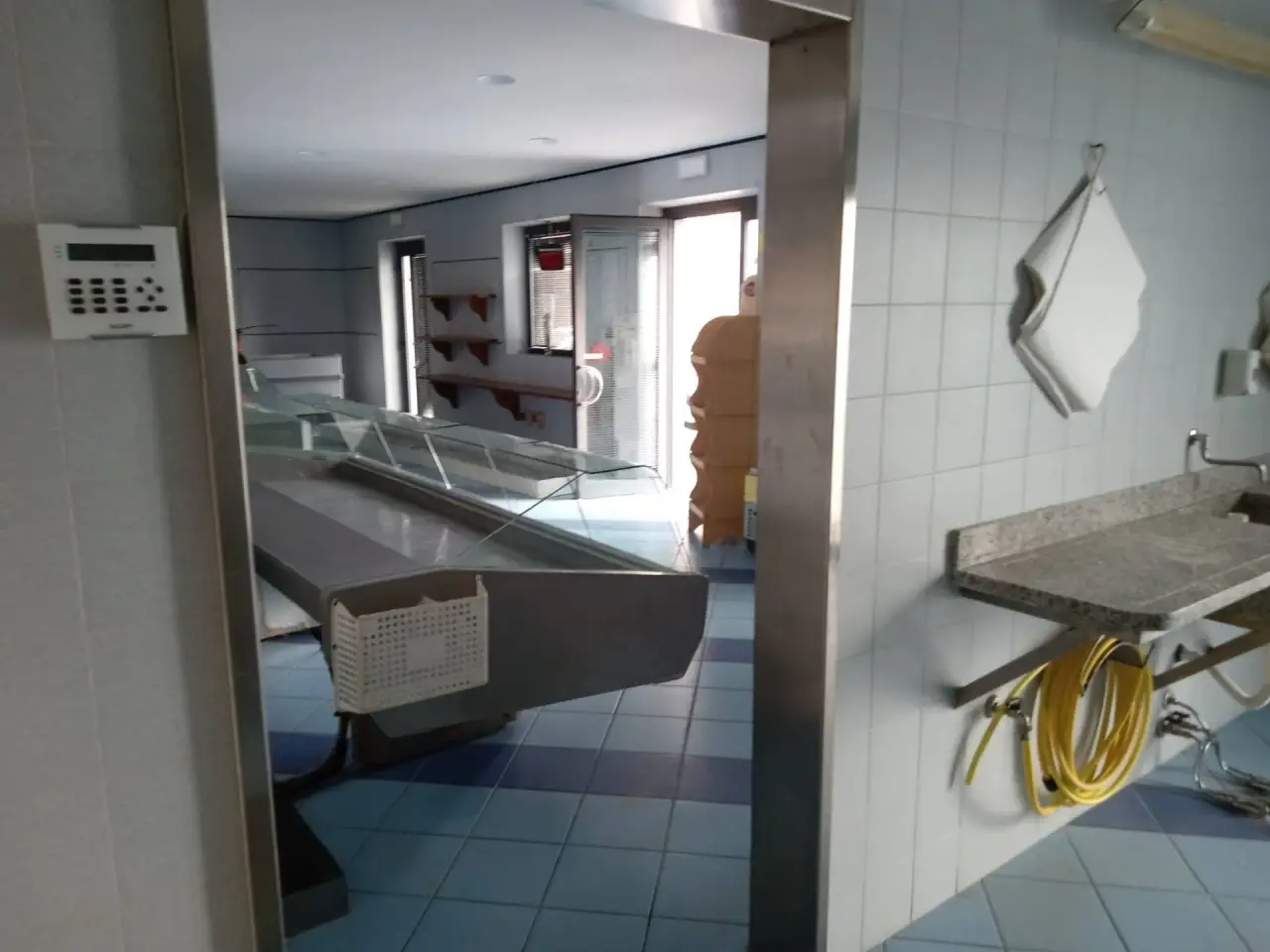 Esercizio commerciale in Viareggio, Viareggio, {3} - Foto 2