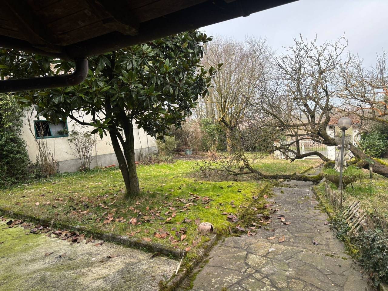 immagine annuncio 9 di 11