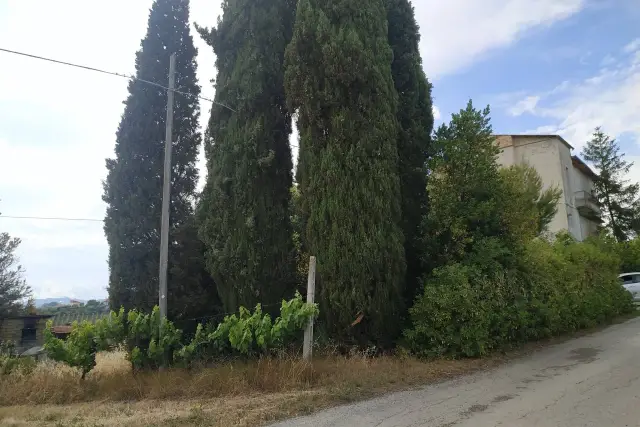 insertion image