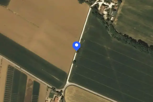 insertion image