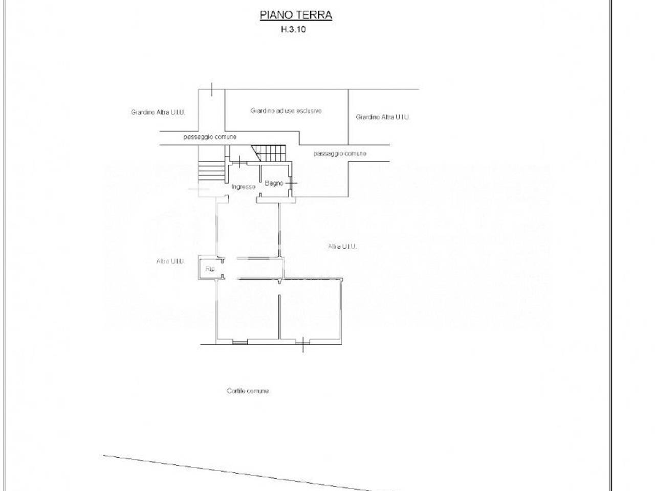 immagine annuncio 12 di 14