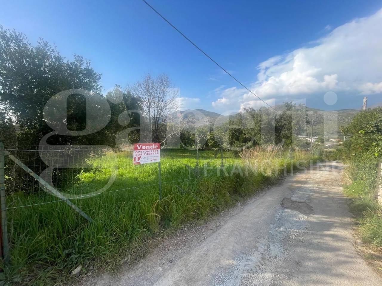 immagine annuncio 1 di 12