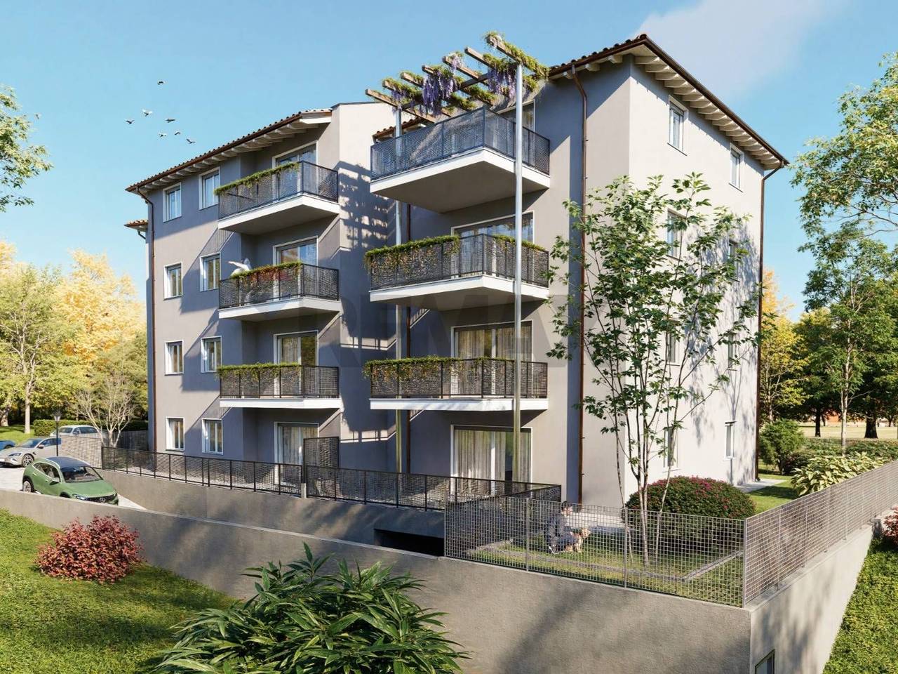 immagine annuncio 3 di 13