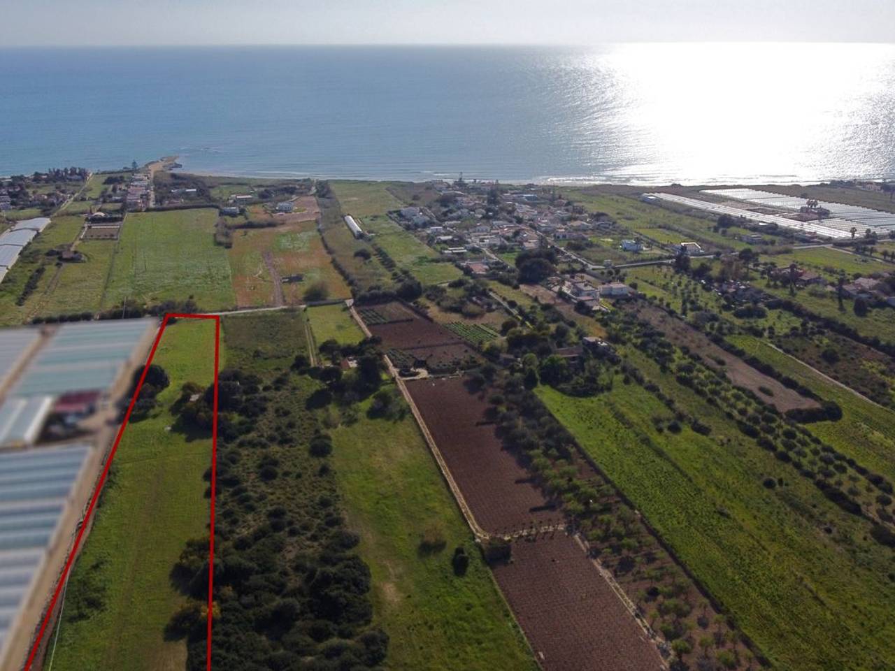 immagine annuncio 6 di 13