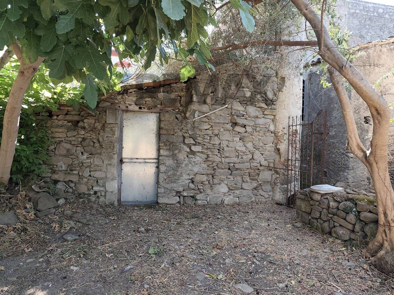 immagine annuncio 8 di 12