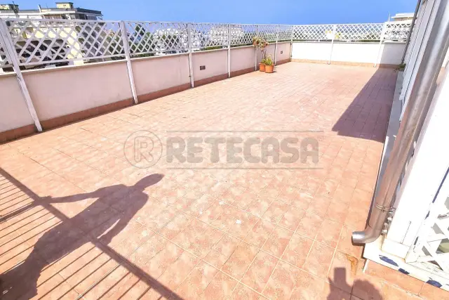 insertion image