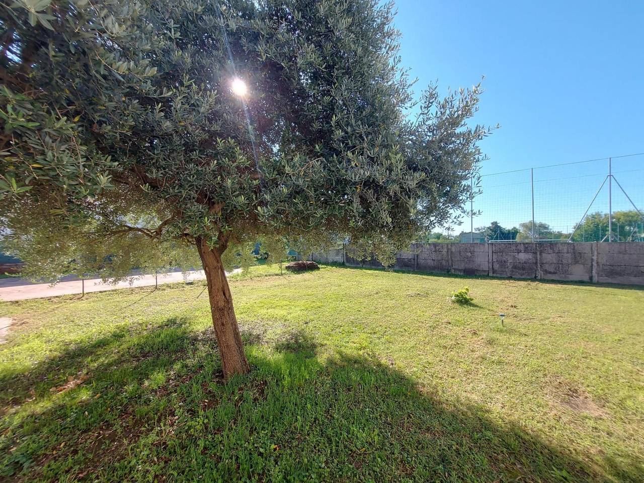 immagine annuncio 10 di 14