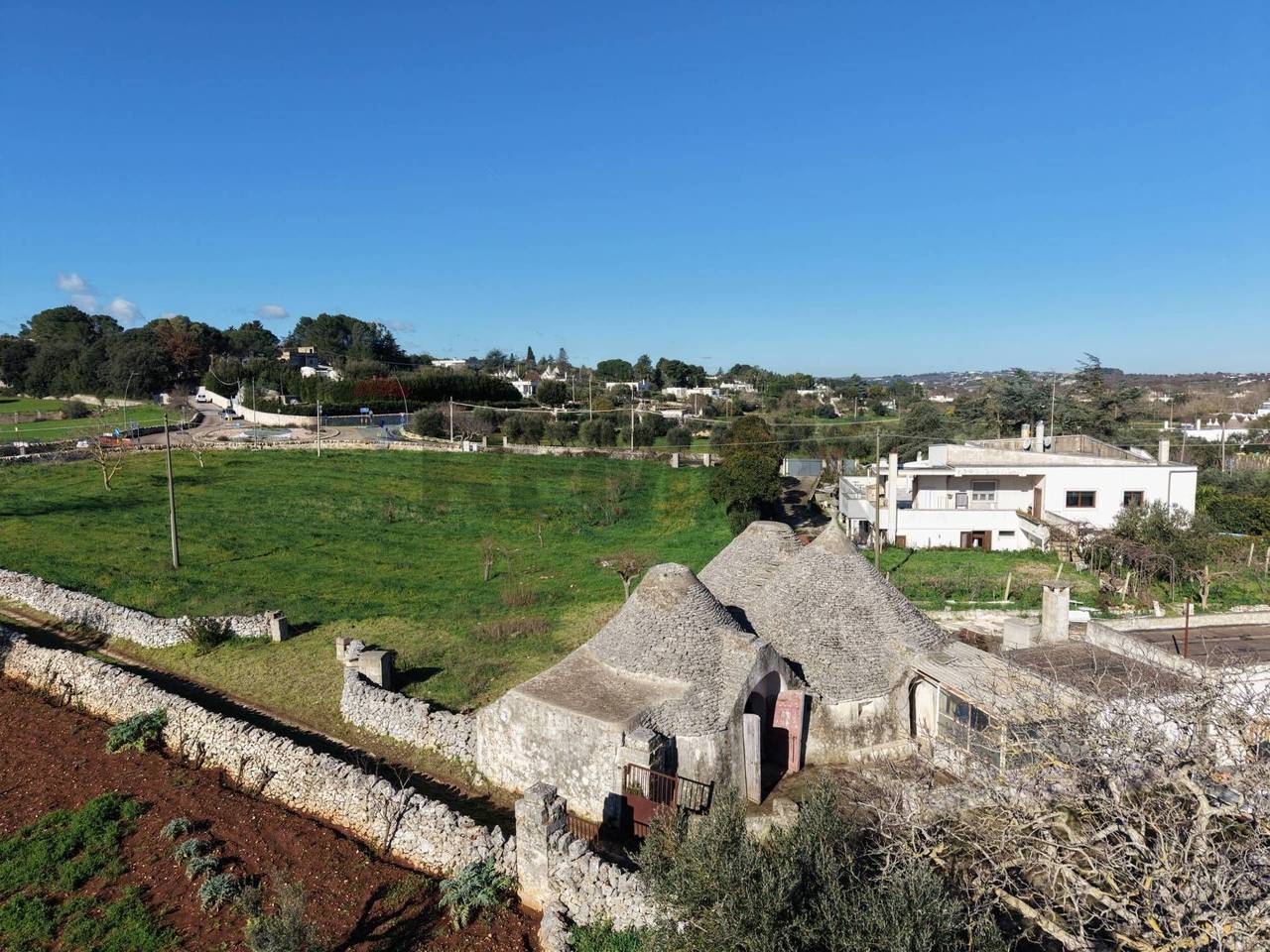 immagine annuncio 12 di 14