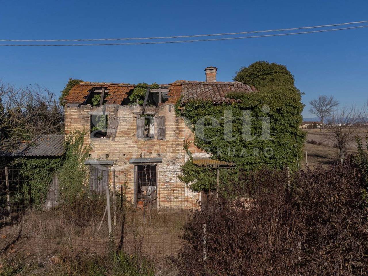 immagine annuncio 1 di 12