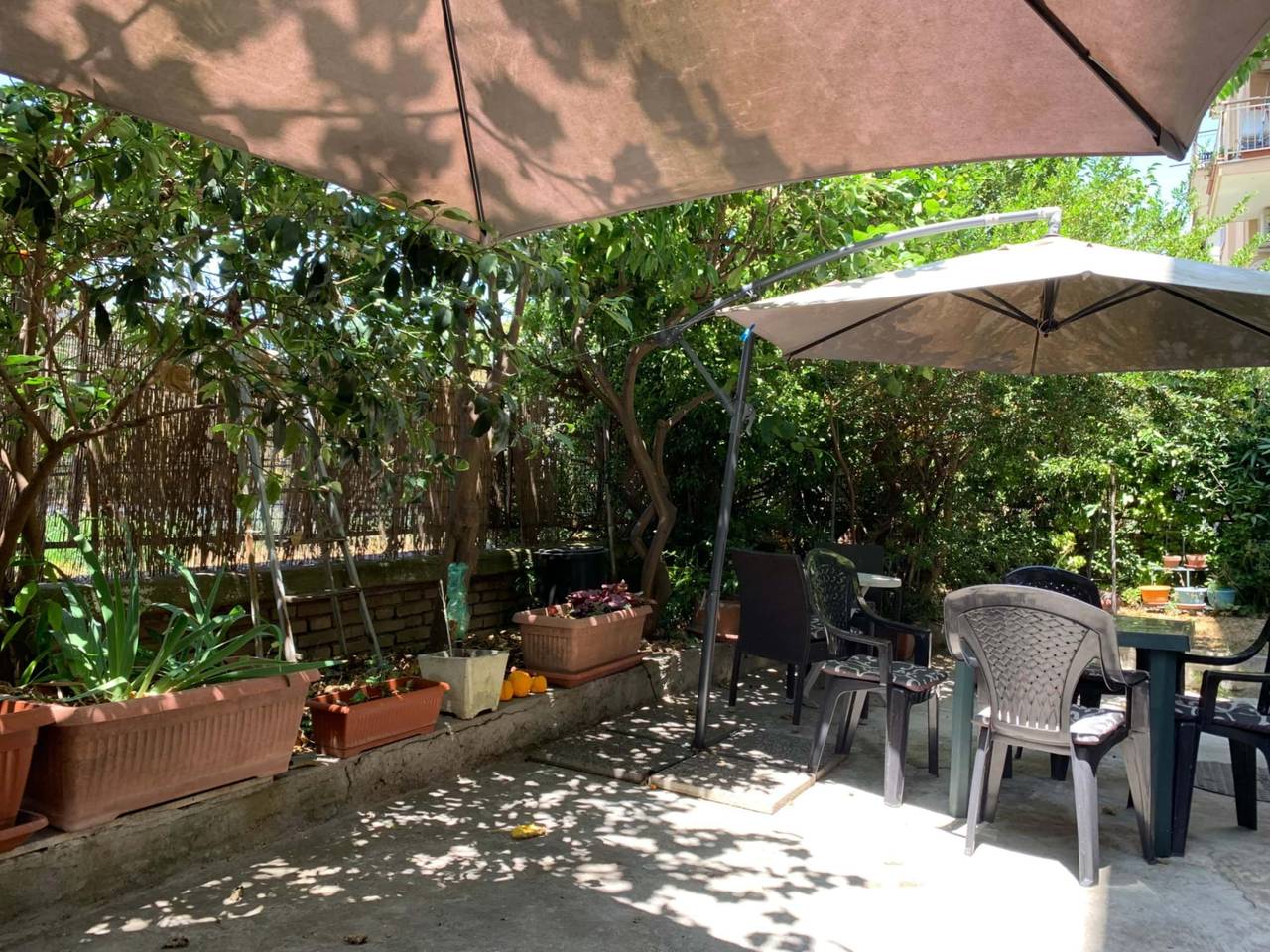 immagine annuncio 11 di 12