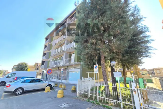 insertion image