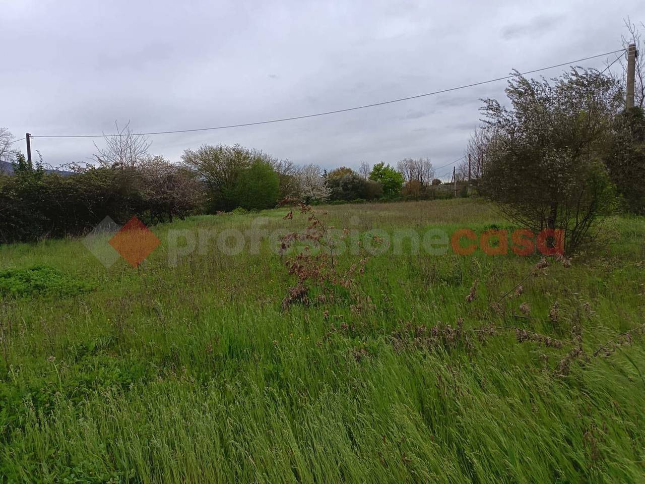 immagine annuncio 9 di 11