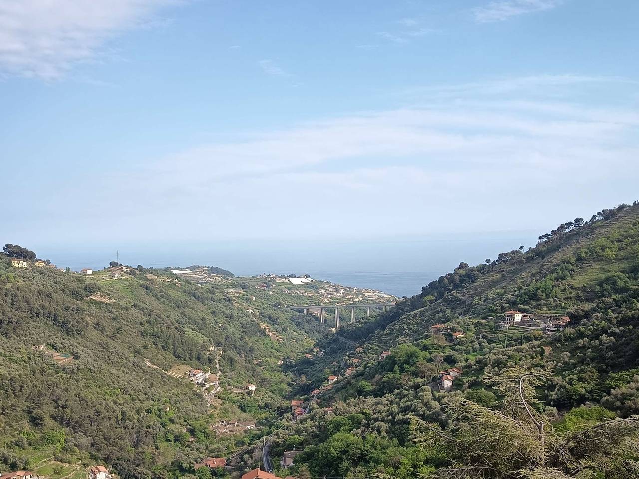 immagine annuncio 6 di 9