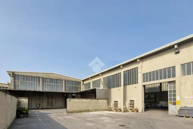 insertion image