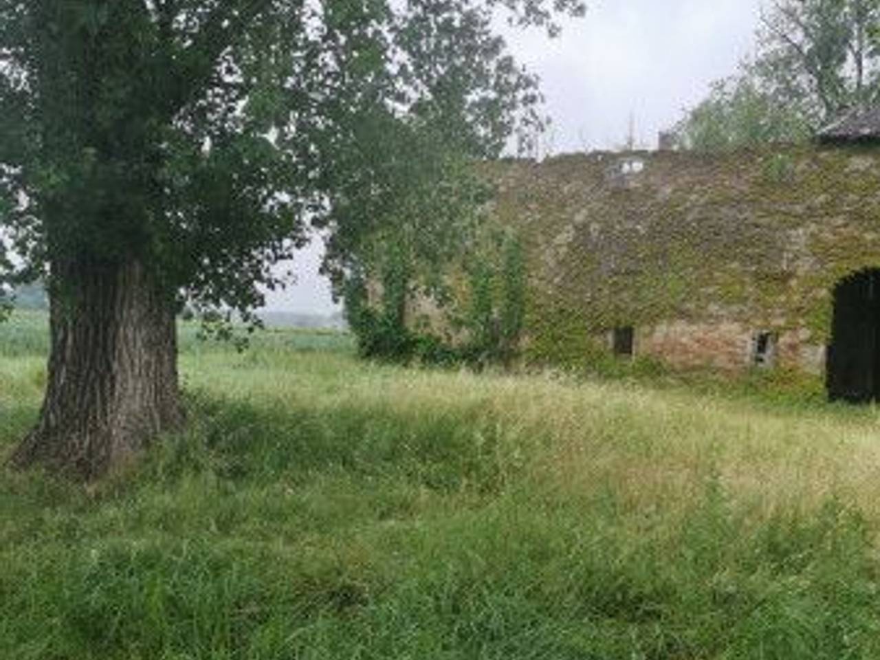 immagine annuncio 6 di 14