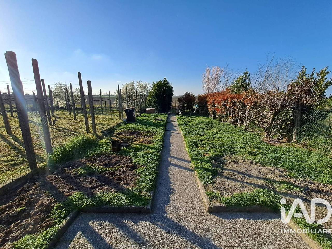 immagine annuncio 6 di 15