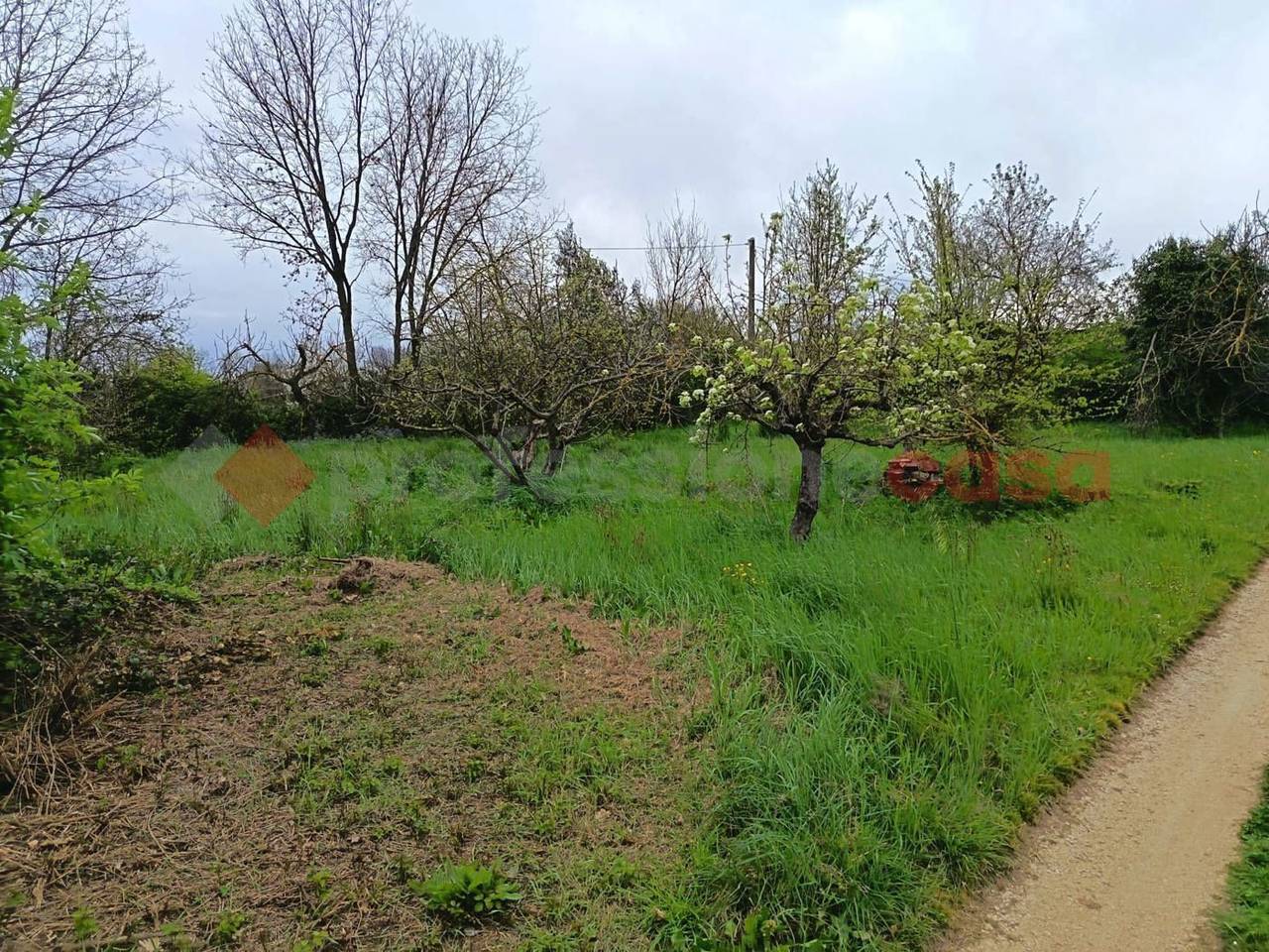 immagine annuncio 2 di 11