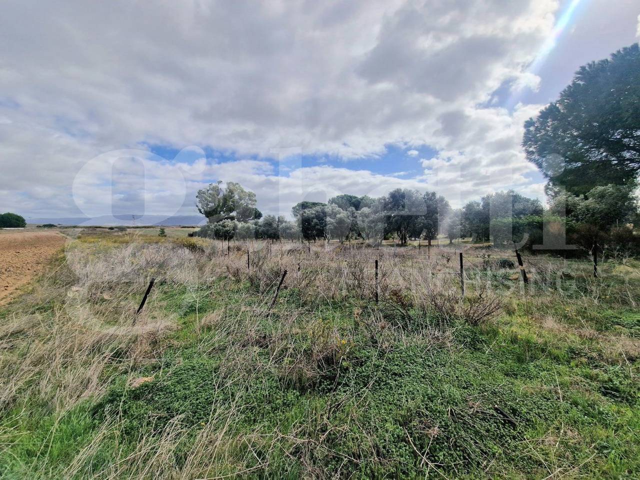 immagine annuncio 1 di 8