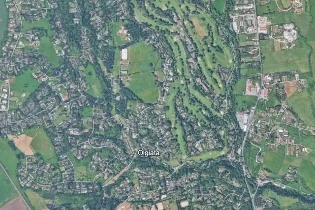 insertion image