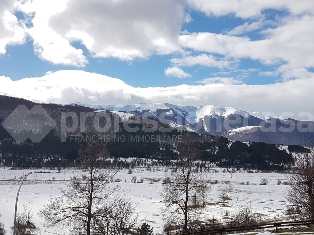 immagine annuncio 5 di 8