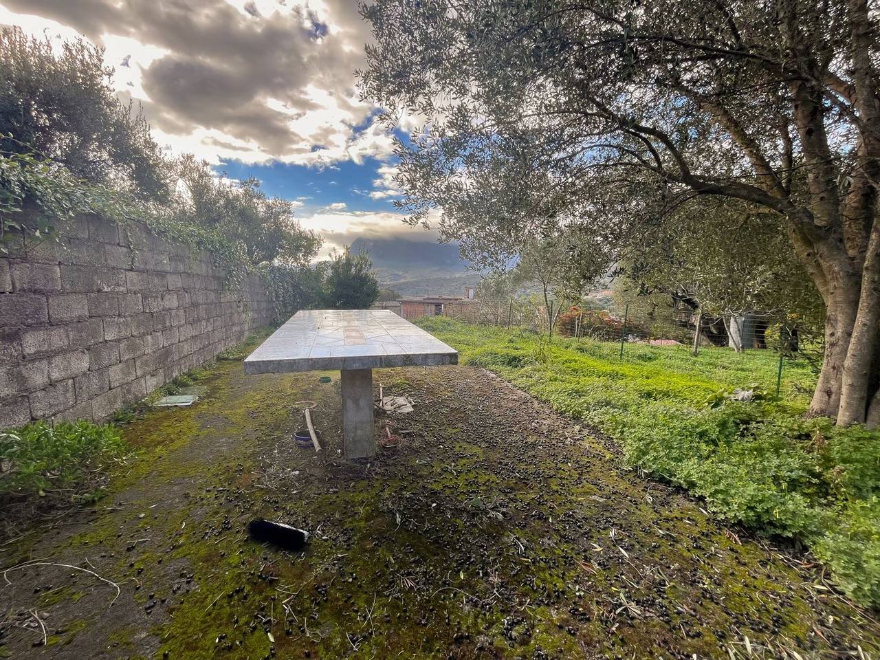 immagine annuncio 12 di 14