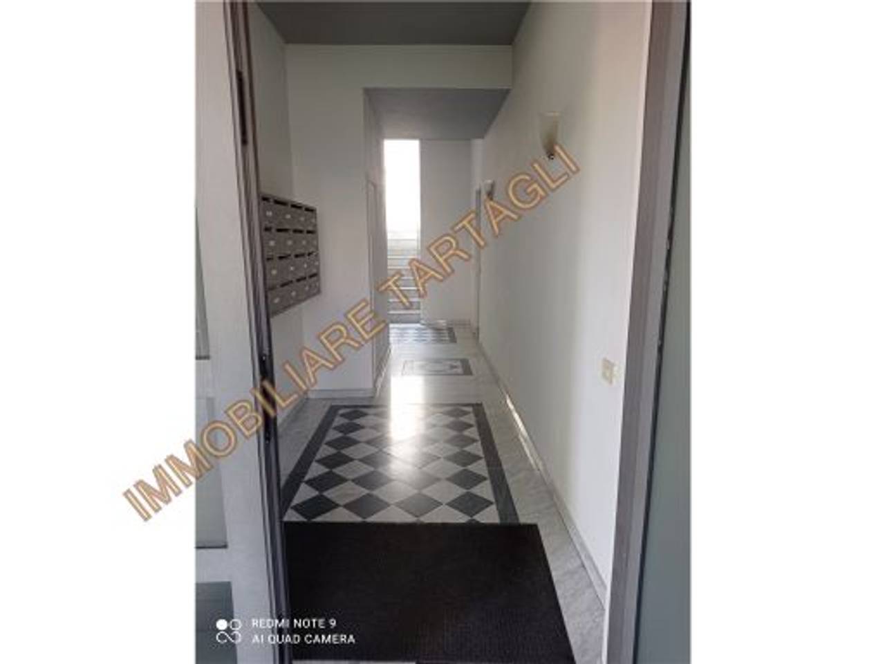 immagine annuncio 11 di 14