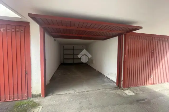 insertion image