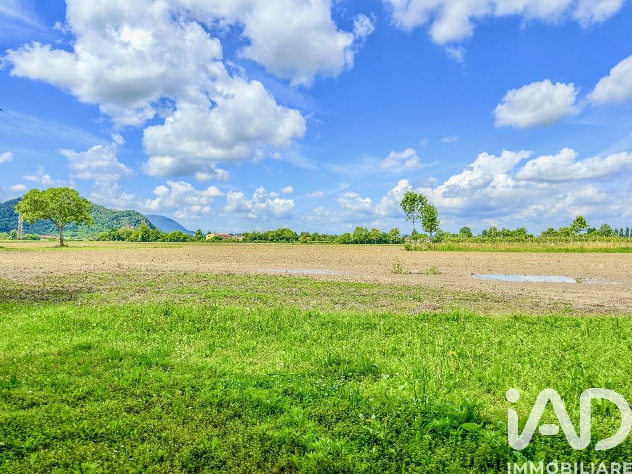 immagine annuncio 2 di 7