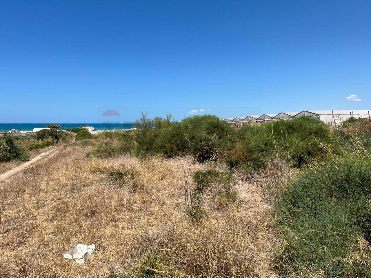 immagine annuncio 5 di 14